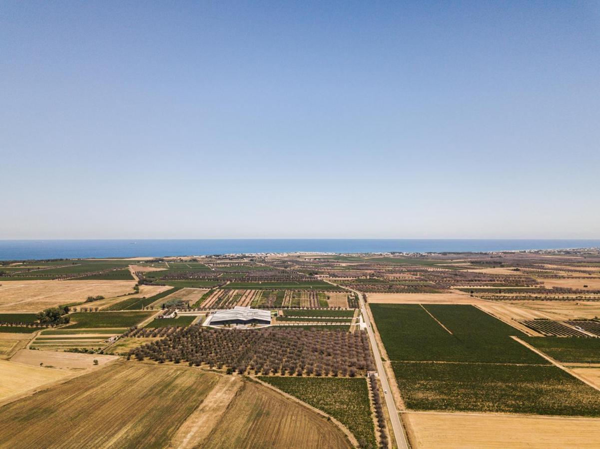 Masseria Torleanzi Wine Relais San Pietro Vernotico Zewnętrze zdjęcie